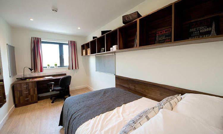 Zeni 3 Bed Apartment In Central Exeter Eksteriør bilde